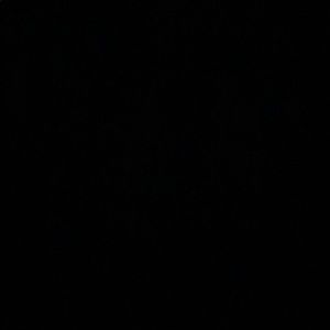 Meet your Posher, Cesar